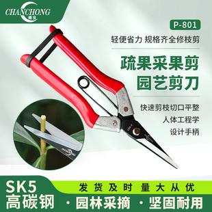蟾虫801园艺剪刀修枝剪果树采果剪修花修剪树枝剪刀修剪花卉剪刀