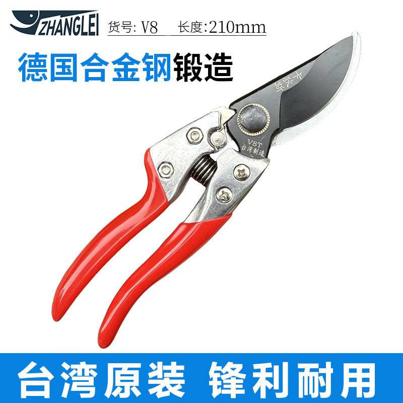 修枝剪园艺剪刀果树修枝专用树枝图片