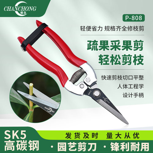 园艺剪刀蟾虫修枝剪盆景专用工具