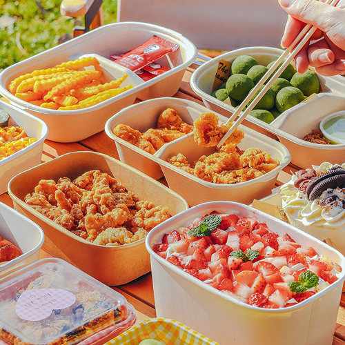 一次性户外春游野餐打包盒