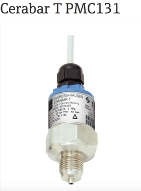 E+H压力变送器PMC131-A31F1A1T PMC131-A31F1D14恩德豪斯传感器