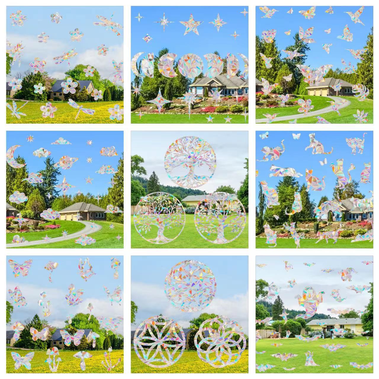 RPS801-845阳光捕手炫彩