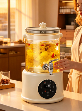跨境Teapot花茶壶玻璃养生壶家用办公室分体烧水药店免费茶水壶