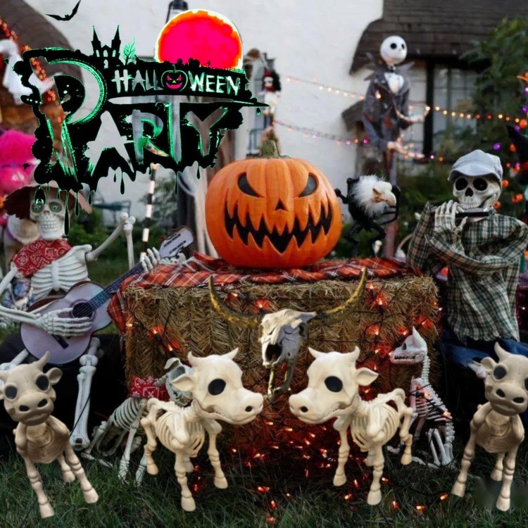 2023NewCoSkeletonHaD