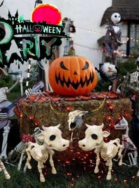 2023NewCoSkeletonHaD