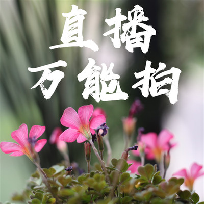 懒虫花园-直播间万能拍 备注编号 实付满30包邮