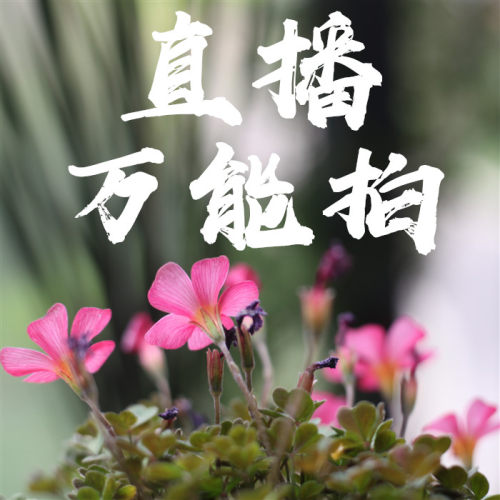 懒虫花园-直播间万能拍 备注编号 实付满30包邮