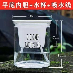 懒人自动吸水盆花盆塑料盆多肉绿植花卉水培土培办公室内桌面轻奢