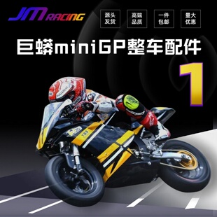 巨蟒miniGP整车  全车配件 华洋功泰通用
