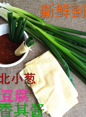 小葱新鲜东北干豆腐，蘸酱菜