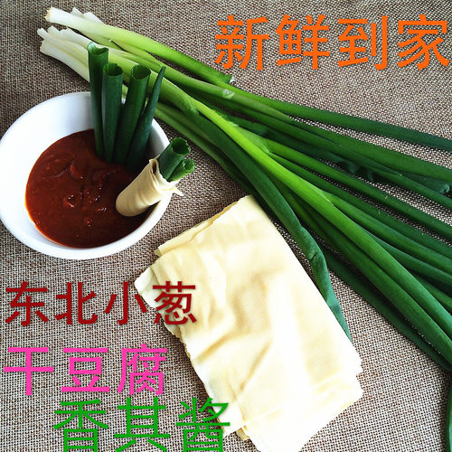 小葱新鲜东北干豆腐，蘸酱菜