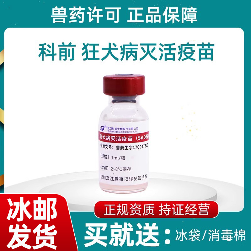 国产科前狂犬疫苗狗狗猫咪成年犬幼犬通用幼猫狂犬病灭活疫苗单支