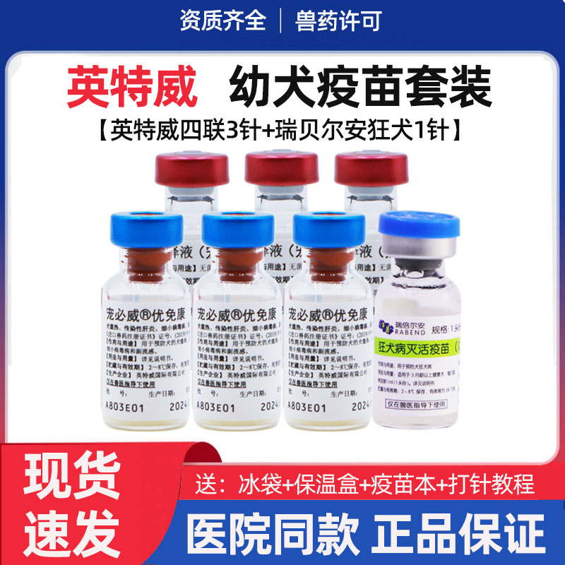 宠必威四联狂犬自打套装