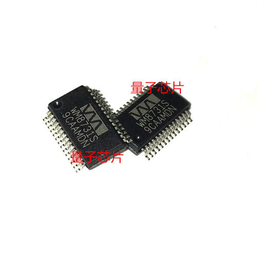 全新WM8731S WM8731SEDS/RV  WM8731SEDS SSOP-28