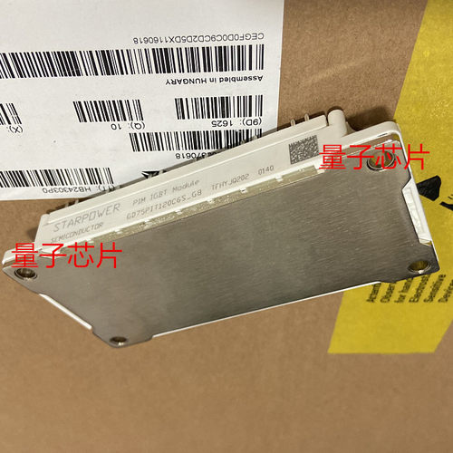 GD100PIT120C6SN-G8 GD75PIT120C6SN-G8  GD100PIT120C6SN