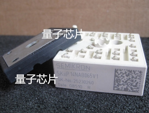 SKIIP13NAB065V1  SKIIP12NAB065V1  SKIIP11NAB065V1