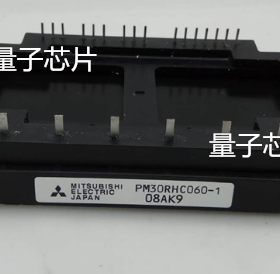 PM30RHC060-1 PM30RMC060-1 PM30RNC060-1 PM30RHC060