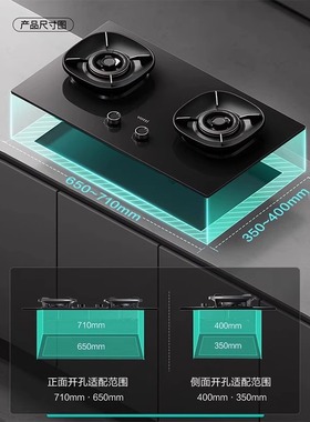 华帝燃气灶i10309家用煤气灶双灶台嵌两用液化气灶官方正品309D