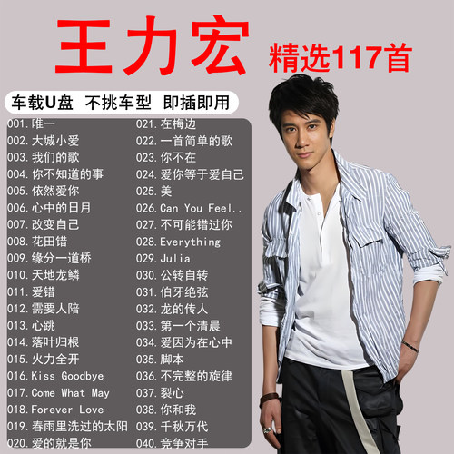 王力宏专辑歌曲音乐车载u盘无损正版高端高品质精选流行汽车优盘