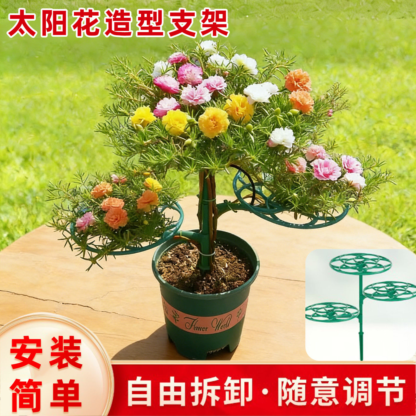太阳花造型支架新款绿植支撑铁线莲多层园艺阳台创意架太阳花固定
