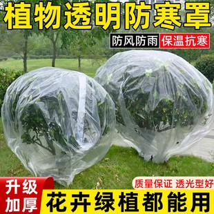 植物防寒罩防冻套塑料膜保温袋花卉木苗果树冬季防寒布透明保暖膜