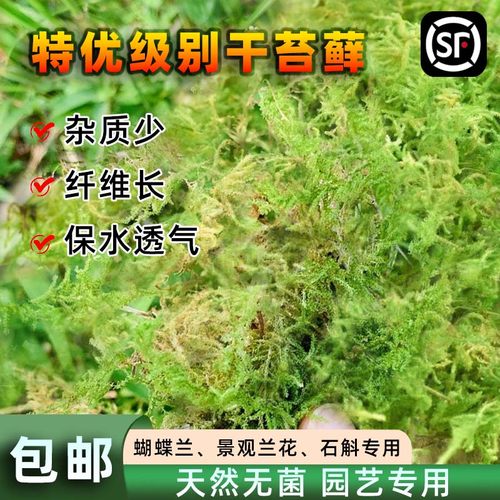 天然水苔干苔藓优质青苔藓石斛种植乌龟冬眠垫材蝴蝶兰专用营养土