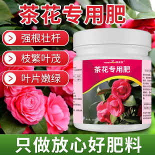 茶花肥料专用肥养花通用栀子花杜鹃花家用型肥复合肥控释急救花卉