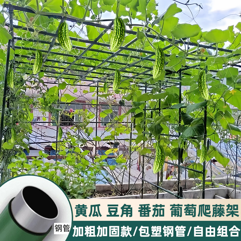 庭院户外爬藤架花架包塑钢管阳台植物支伸缩杆月季豆角黄瓜架葡萄
