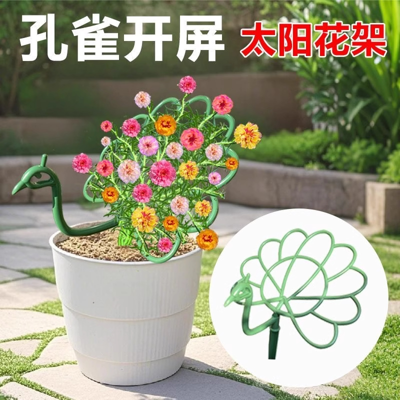 太阳花架子孔雀造型支架单层多层花支架蟹爪兰固定棒棒糖支撑杆子