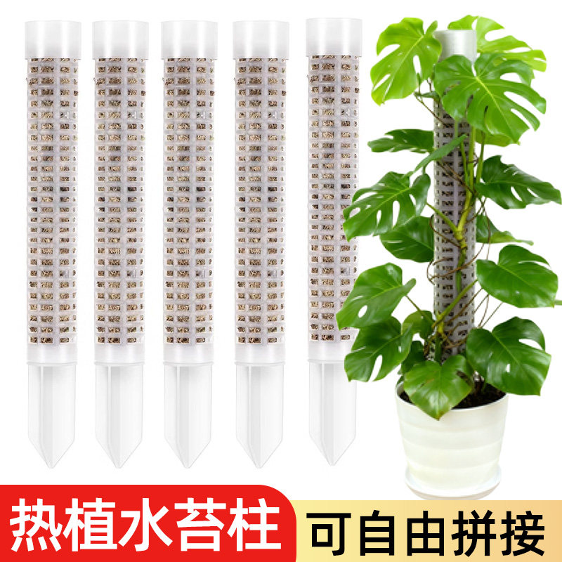 水苔柱龟背竹专用可拼接延长爬藤植物攀附柱热植攀爬柱固定支撑杆 - 实物图