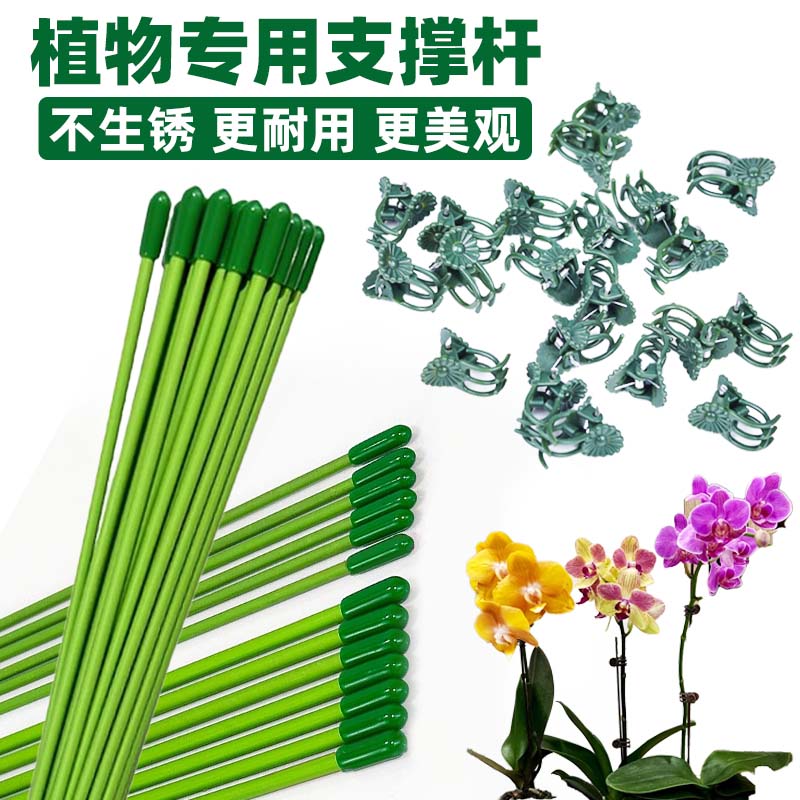 绿植花插杆植物支撑杆