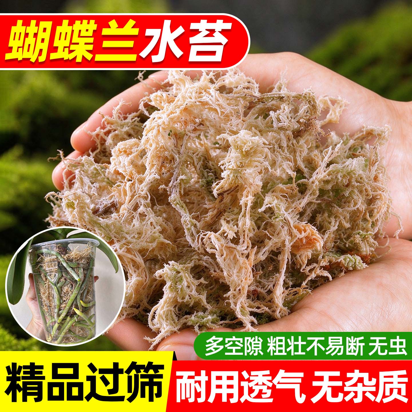 蝴蝶兰专用水苔干苔藓蝴蝶兰花专用智利进口干水苔兰花营养土植料