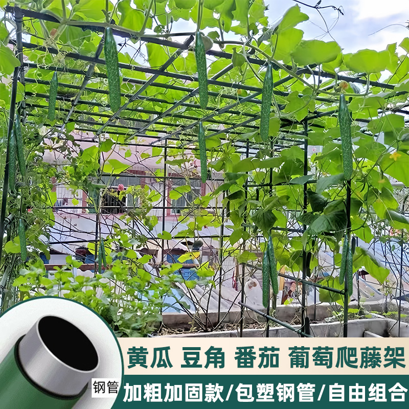 庭院户外爬藤架花架包塑钢管阳台植物支撑杆月季豆角黄瓜架葡萄架