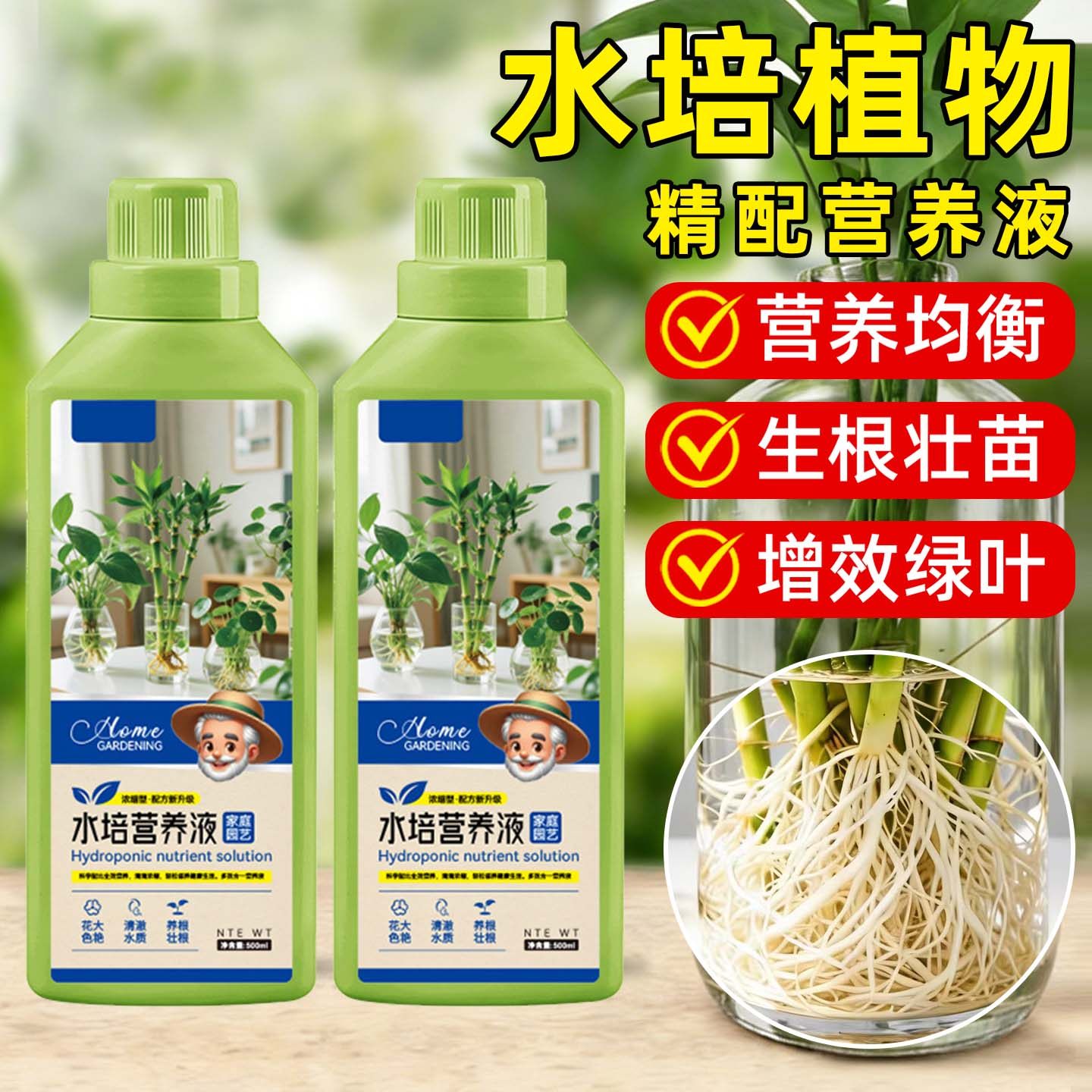 水培植物营养液绿萝富贵竹郁金香铜钱草通用型肥料睡莲碗莲开花肥
