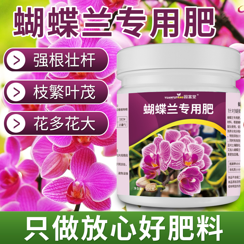 蝴蝶兰肥料枝繁叶茂花多花大