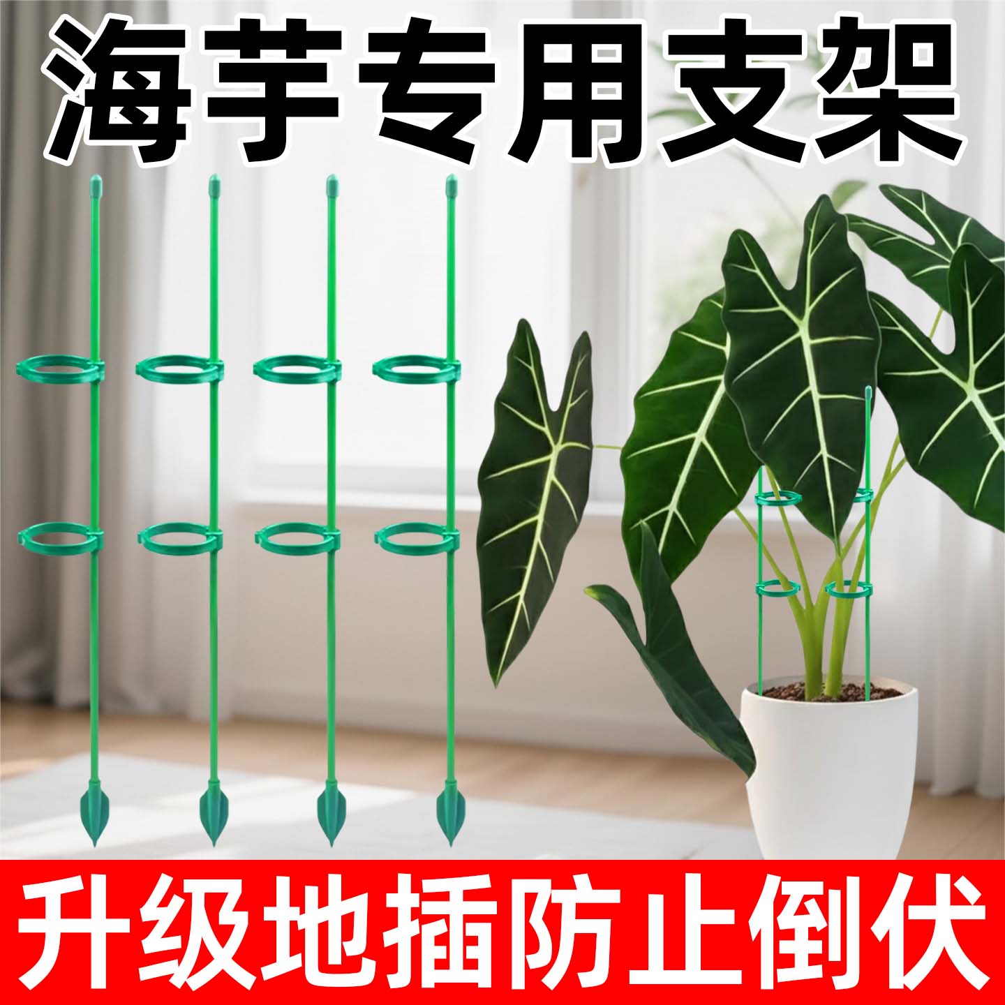 海芋专用防倒伏造型支架图片