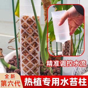 水苔柱龟背竹绿萝爬藤植物支撑杆热植攀附柱白龟蔓绿绒固定花支架