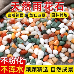 天然五彩雨花石鹅卵石多肉花盆铺面石鱼缸龟缸造景装饰彩色小石子
