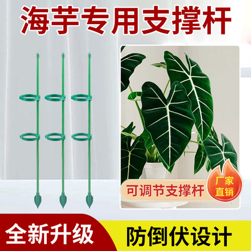 海芋专用支撑杆花架子