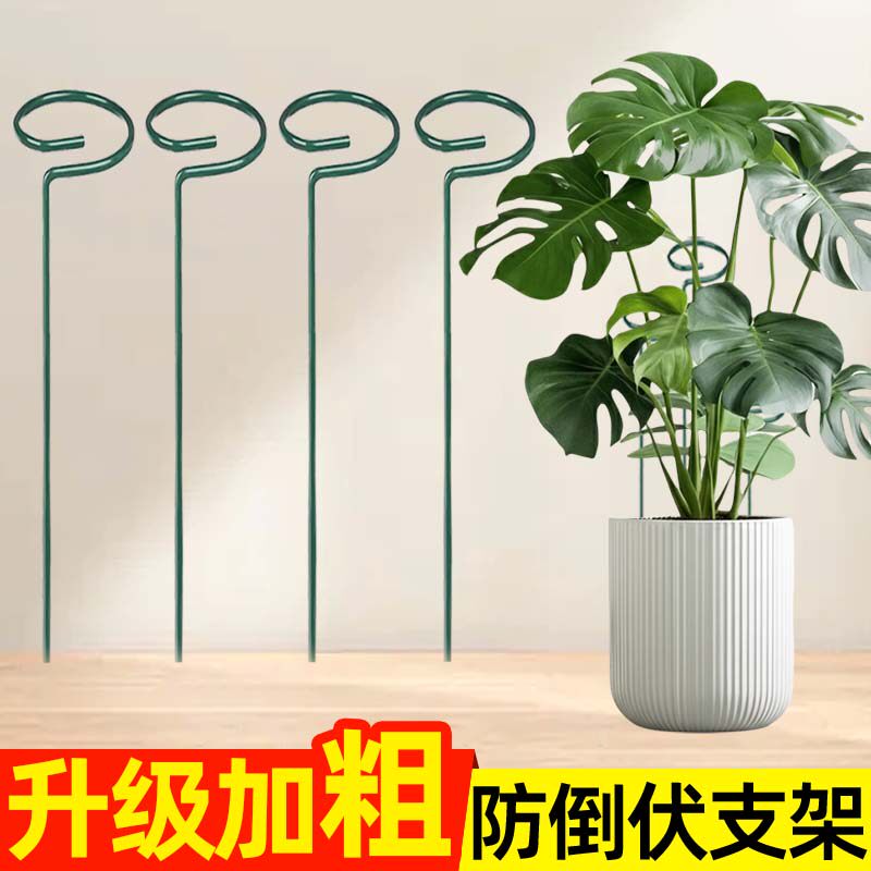 植物防倒伏支架龟背竹花支架朱顶红绣球吊兰爬藤花架防倒伏支撑杆