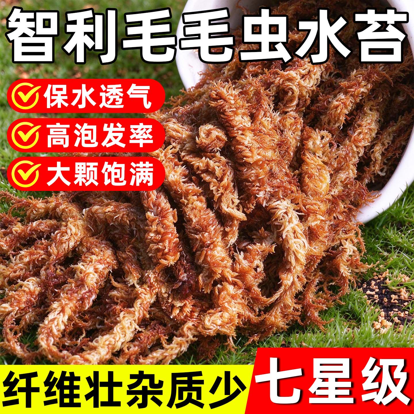 智利进口毛毛虫水苔七星干苔藓植料蝴蝶兰花专用土壤乌龟冬眠垫材