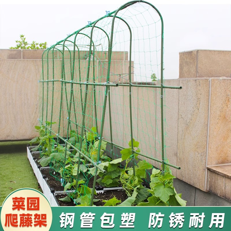 种菜爬藤架黄瓜豆角搭架架子种植图片