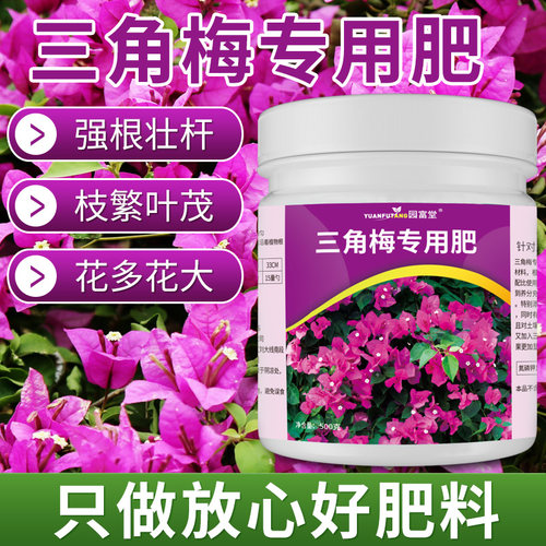三角梅专用肥强根壮杆枝繁叶茂