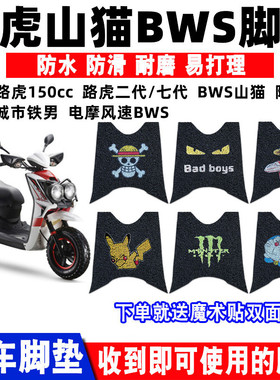 适用路虎风速BWS山猫陆虎150cc鸭子电动摩托车脚垫防水防滑丝圈垫