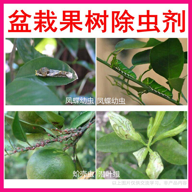 盆栽杀虫喷雾花卉绿植除花虫药剂铁树香樟树桔子树盆景果树专用药