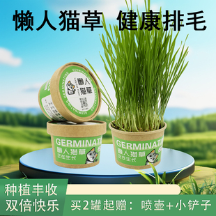 猫草杯盆栽懒人种植猫草杯非水培猫草种子猫薄荷化毛自种猫咪零食