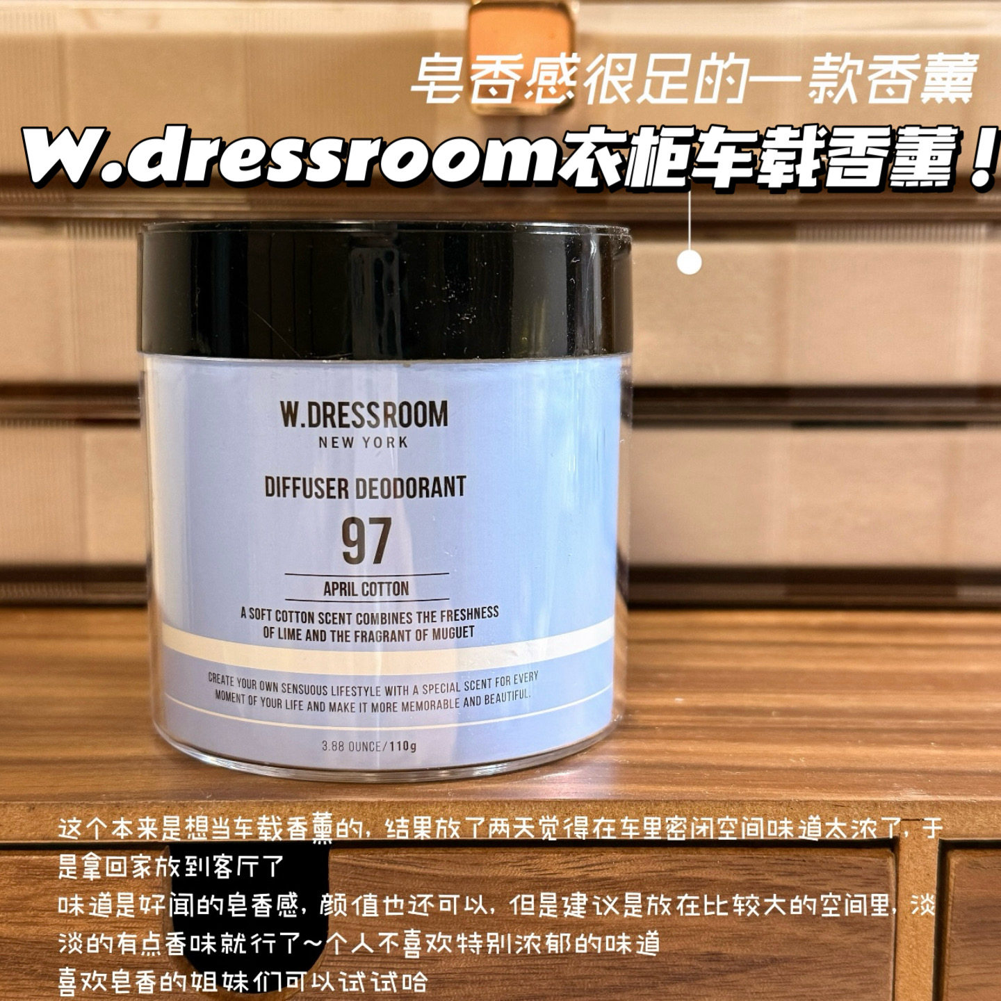 韩国W.DRESSROOM衣柜车载香薰除臭卧室厕所去异味持久留香110g