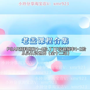 盖伊尼德勒三个课程 老盖PSAR1-4阶段