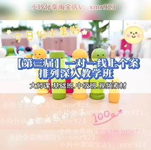 博里莎新课第三届 一对一线上个案排列深入教学班 小物件排列个案