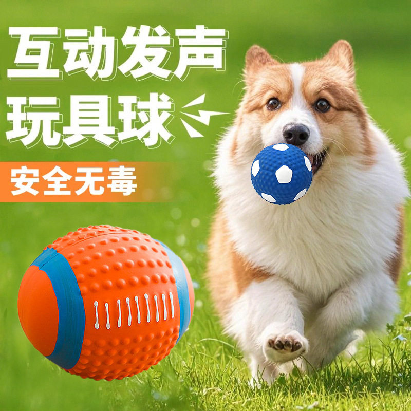 狗狗玩具耐咬狗狗用品球球玩具狗磨牙玩具狗狗玩具发声发泄狗玩具